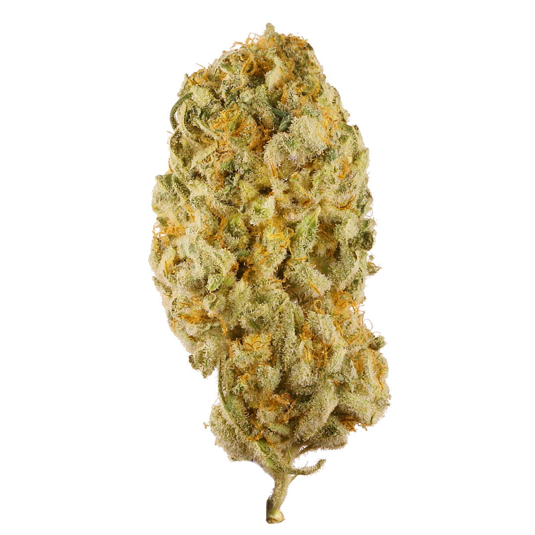 jack-herer-strain