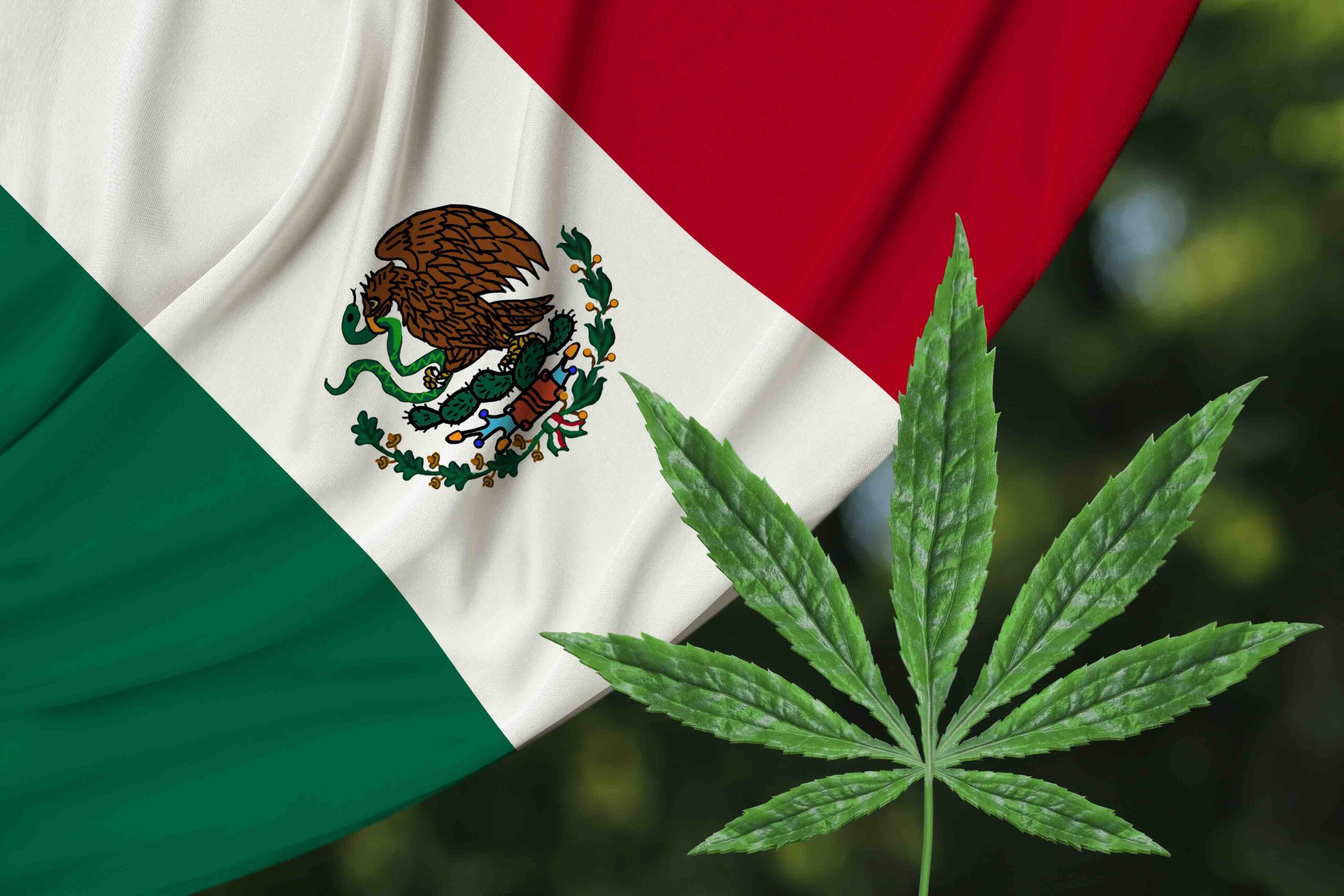 Is Weed Legal In Mexico