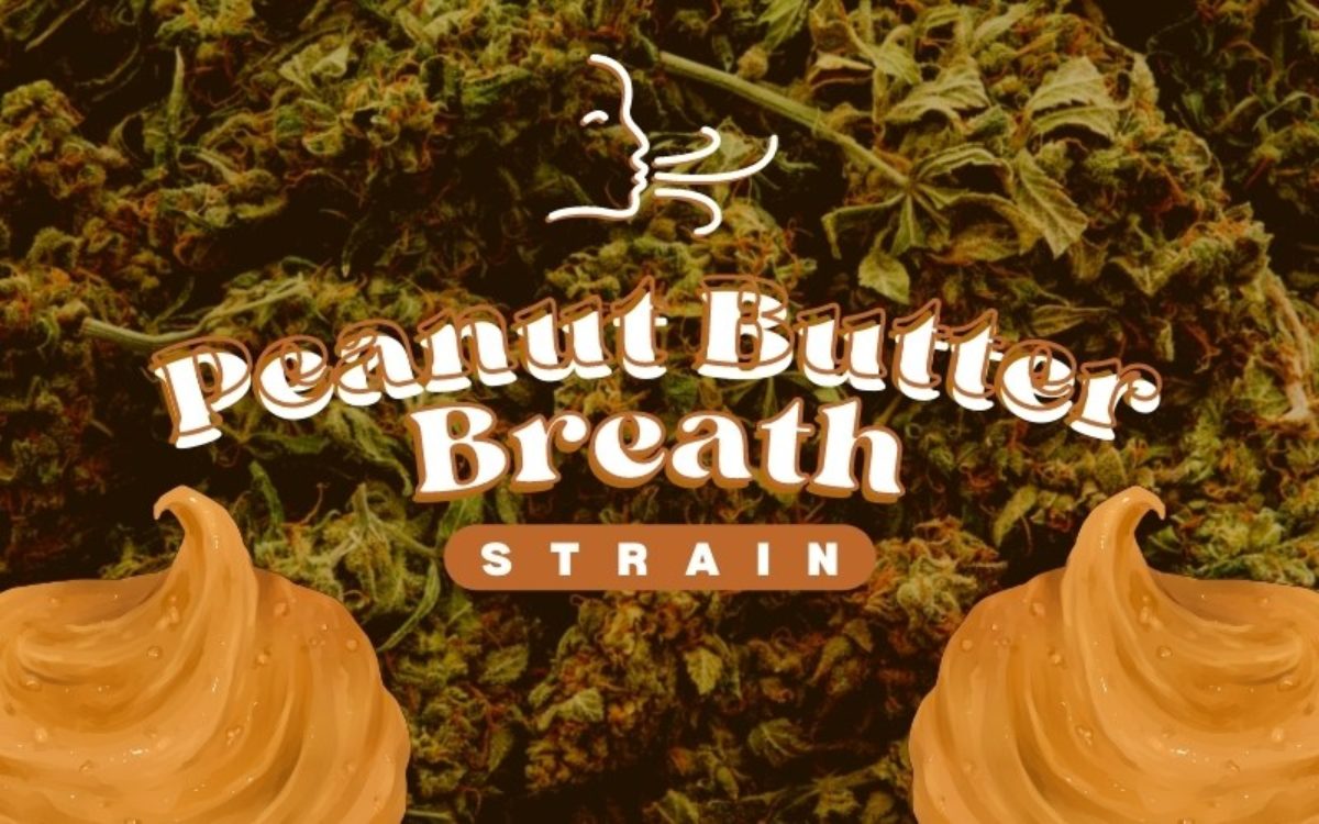 The Definitive Guide to the Peanut Butter Breath Strain